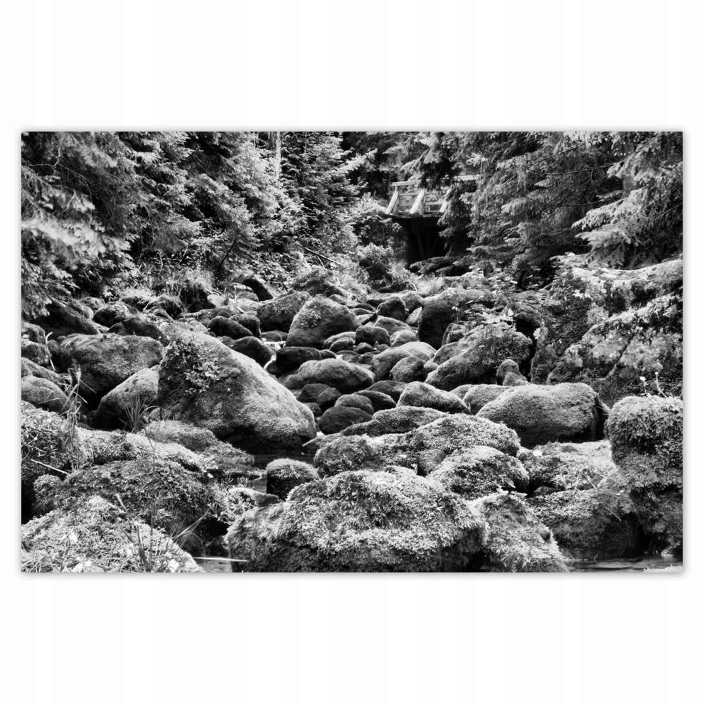 

Plakaty 60x40 Tatry Polskie góry Widok