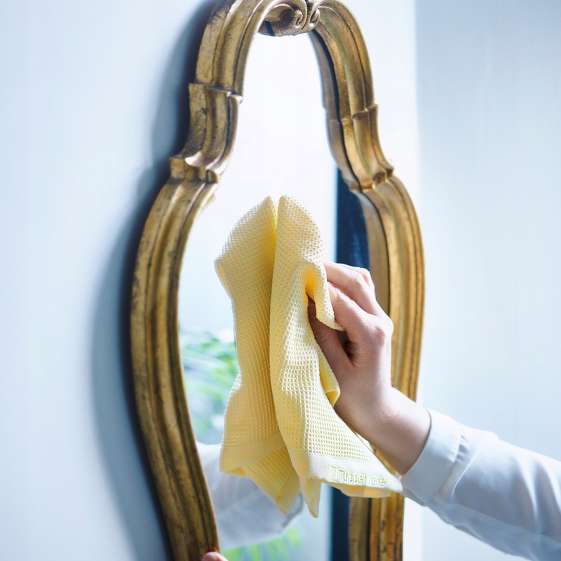 ŚCIERECZKA DO SZYB 2SZT TUPPERWARE Marka Tupperware