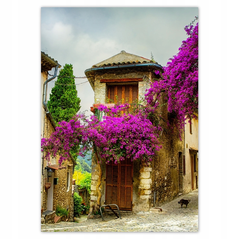 

Naklejki 70x100 Stare kamieniczki