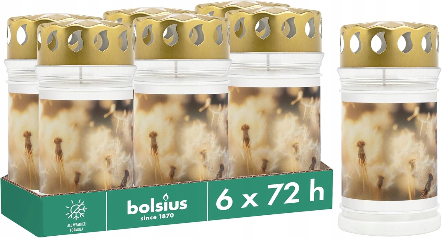 Hřbitovní Svíčka Bolsius 6 ks s motivem pampelišky, 3 dny hoření bez palmového oleje