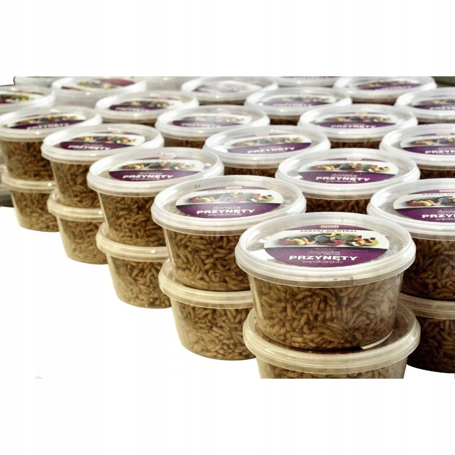 Żywa przynęta ANGIELSKI ROBAK BIAŁY 500ML Model AB 500ML