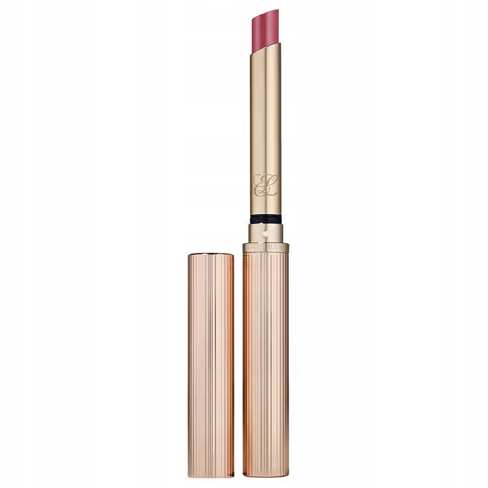 Estee Lauder Pure Color Explicit Dlouhotrvající Lesk Na Rty 119