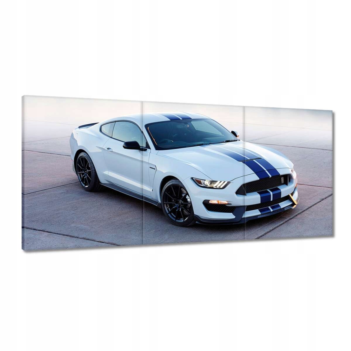 Obrazy 210x100 Mustang Shelby Ford Usa