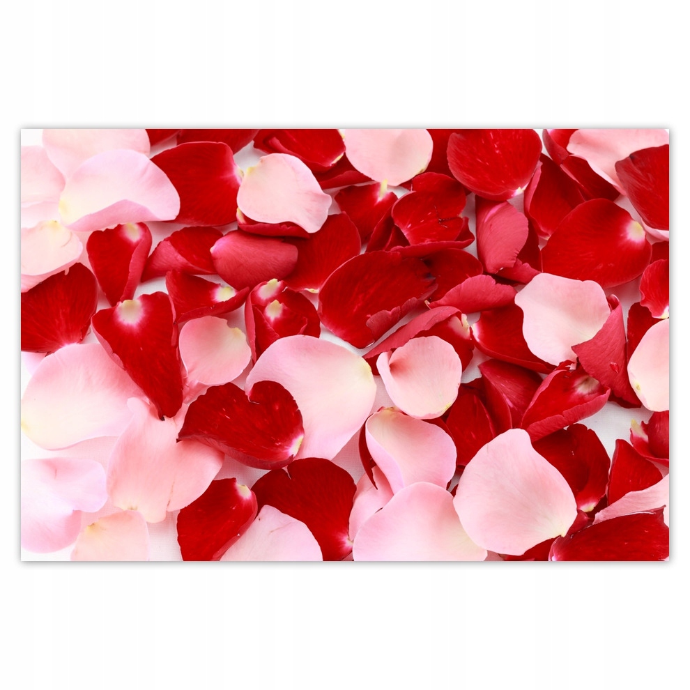 

Plakaty 93x62 Dzień Kobiet Prezent Love
