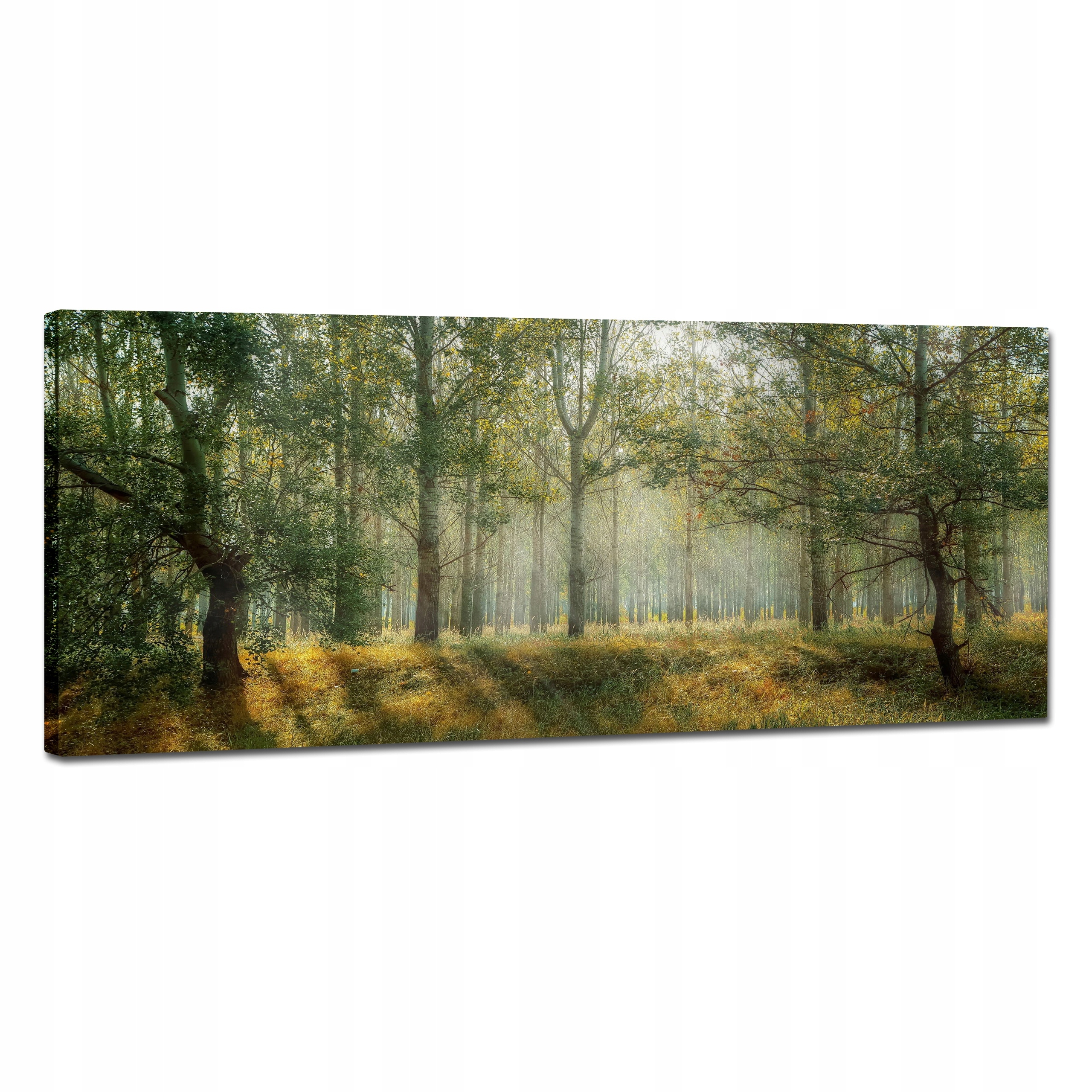 Obraz Na Plátně Do Obývacího Pokoje Panorama Polský Les Melancholia 120x50