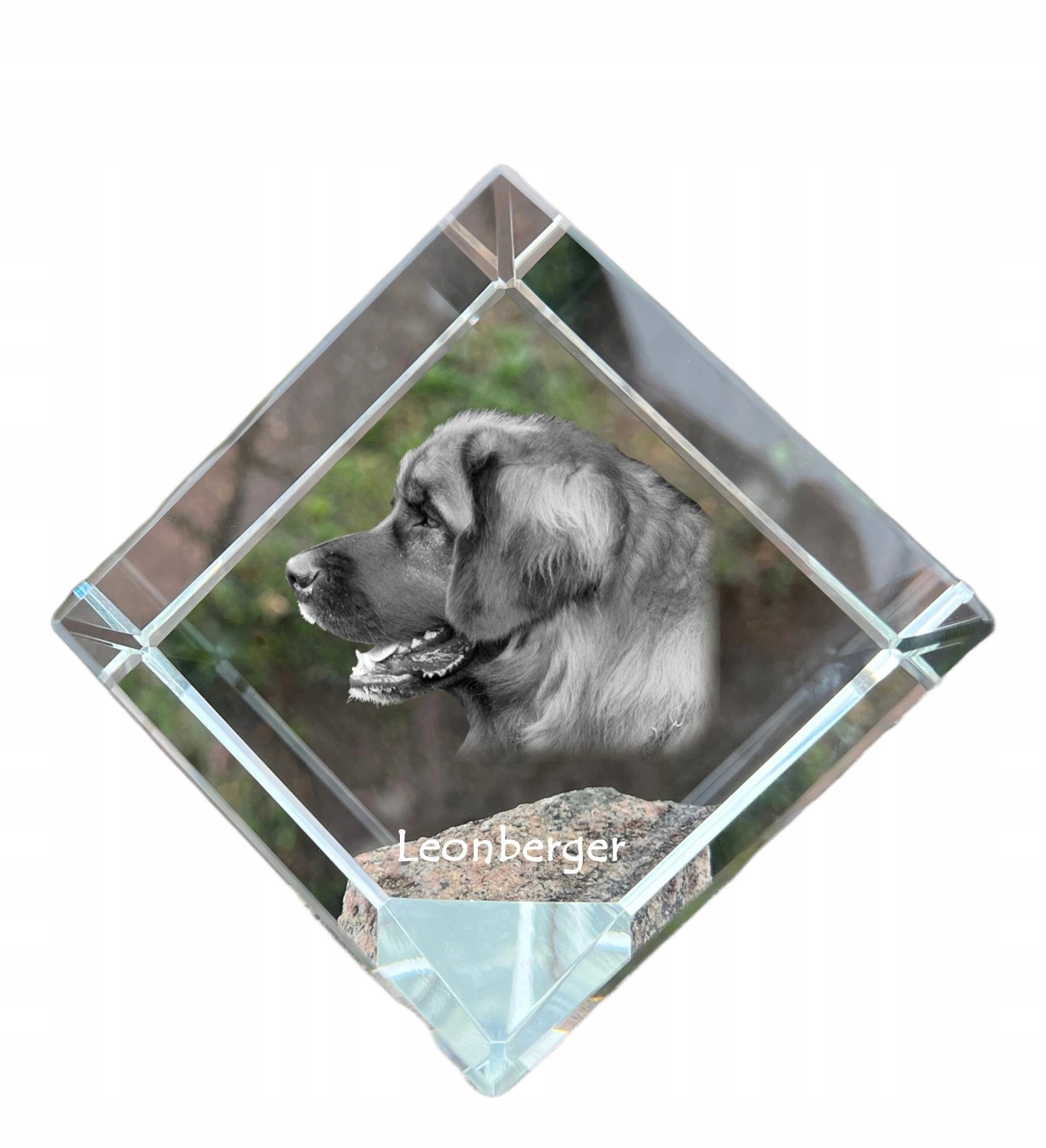 Leonberger krištáľová kocka s fotografiou psa, ozdoba na stôl, tlačidlo