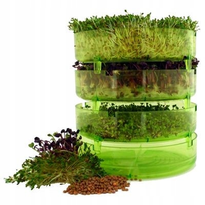 

Kiełkownica Poziomowa Bez Bpa Bavicchi