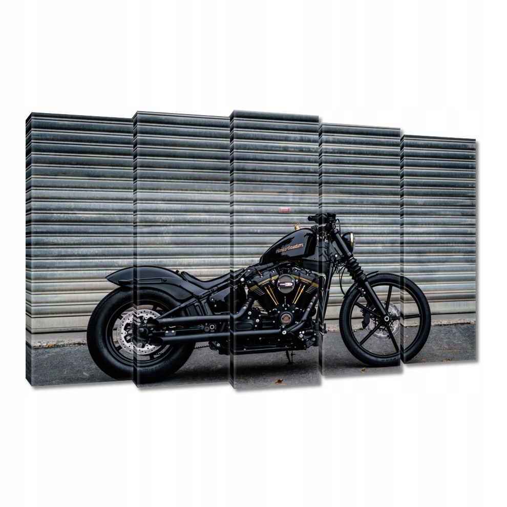Obraz 150x95 Motor Motocykl