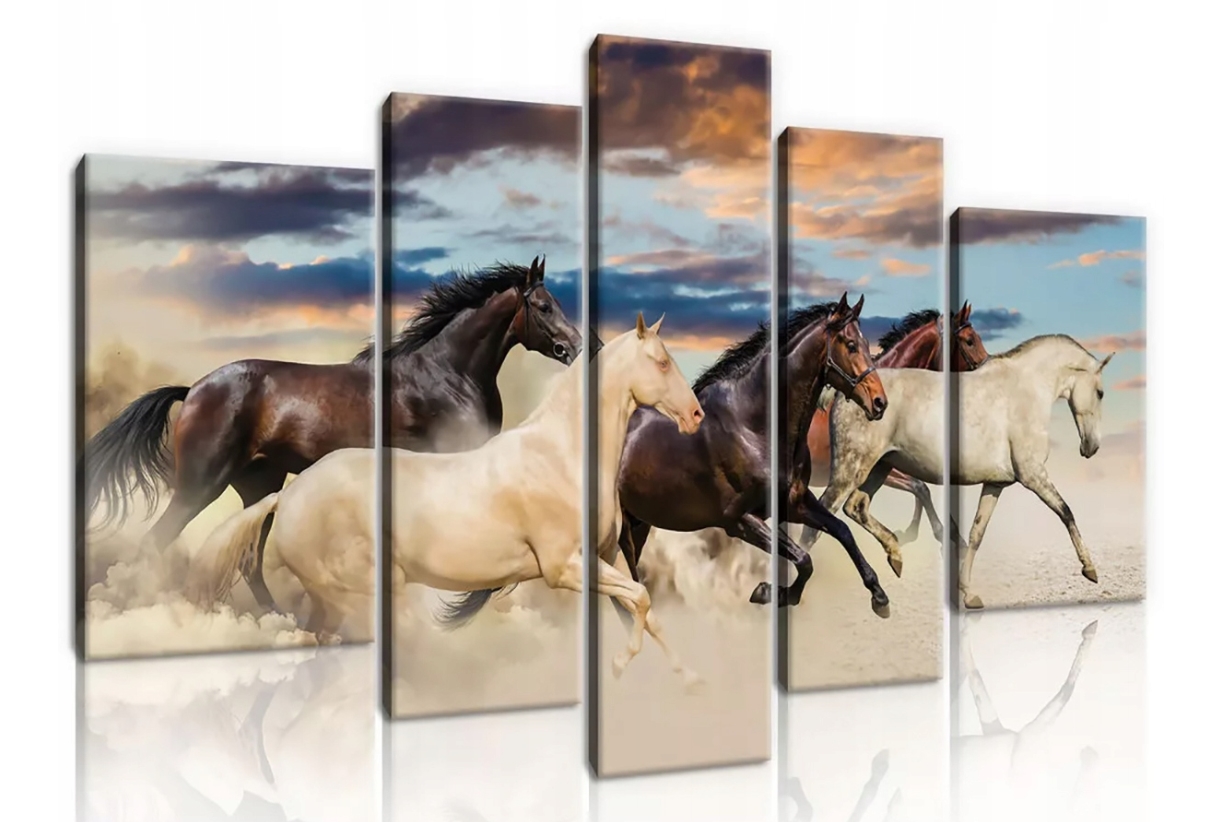 Obraz 170x100 Kone cval step divoký západ slnka energia príroda rýchlosť