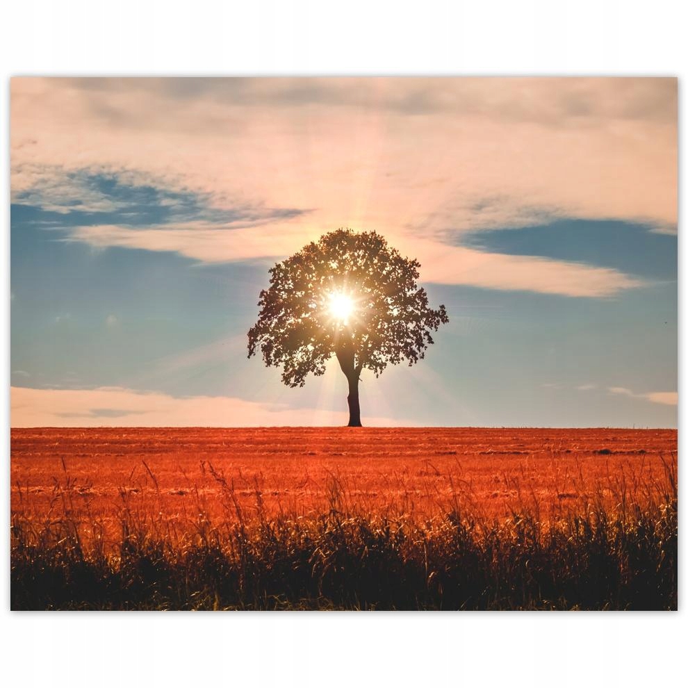 

Plakat 50x40 Widok Pejzaż Krajobraz