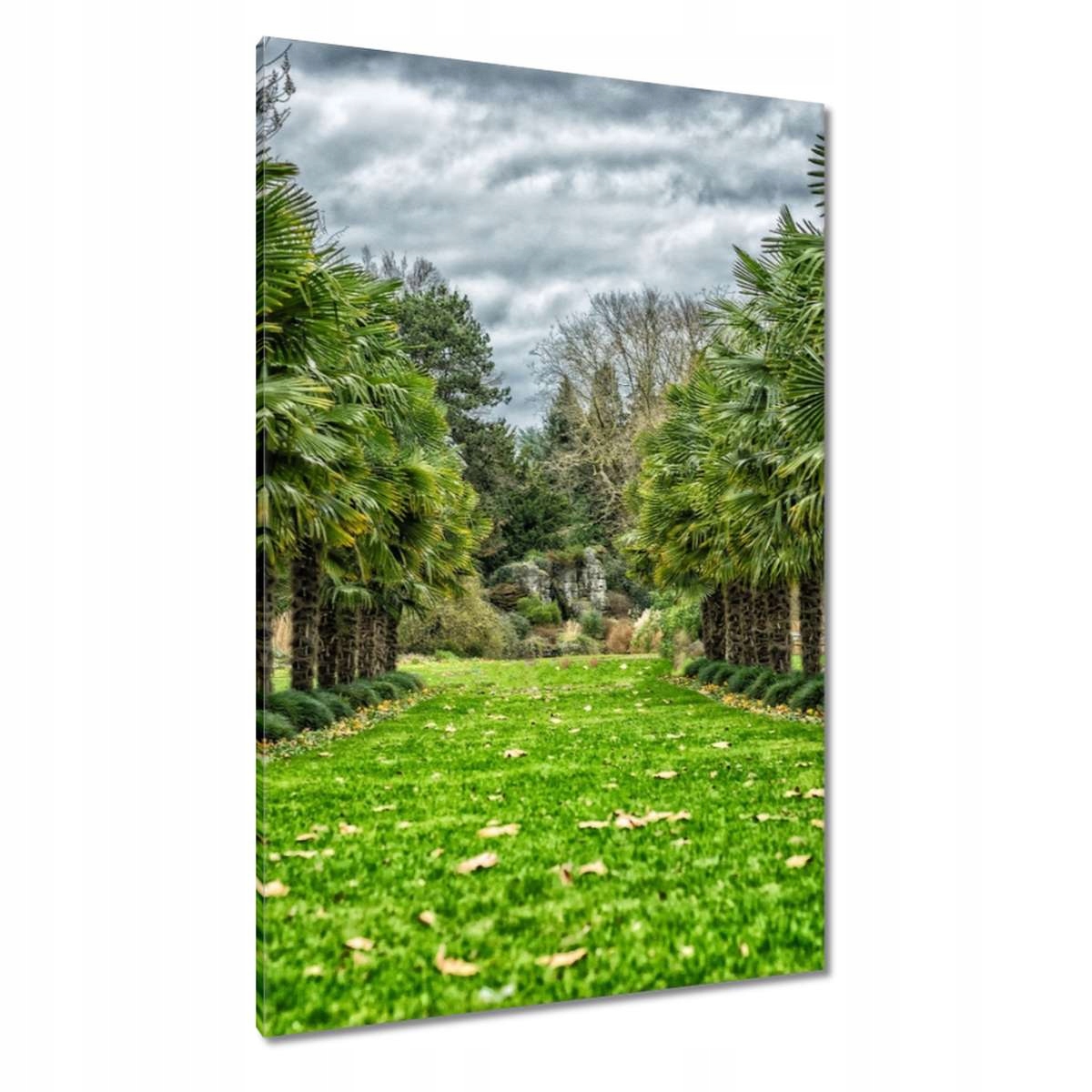 Obrazy 80x120 Krajina