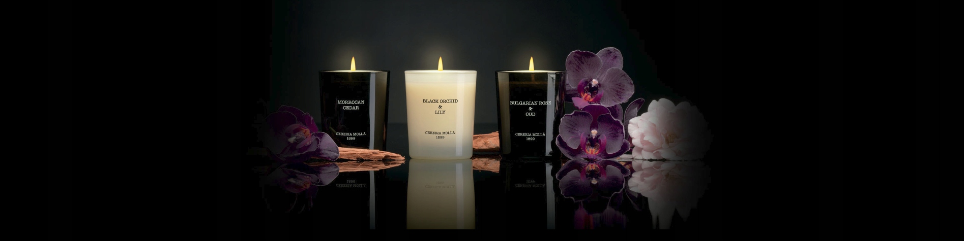 CERERIA MOLLA Dyfuzor Premium 100 ml Tobaco Amber Pojemność 100 ml