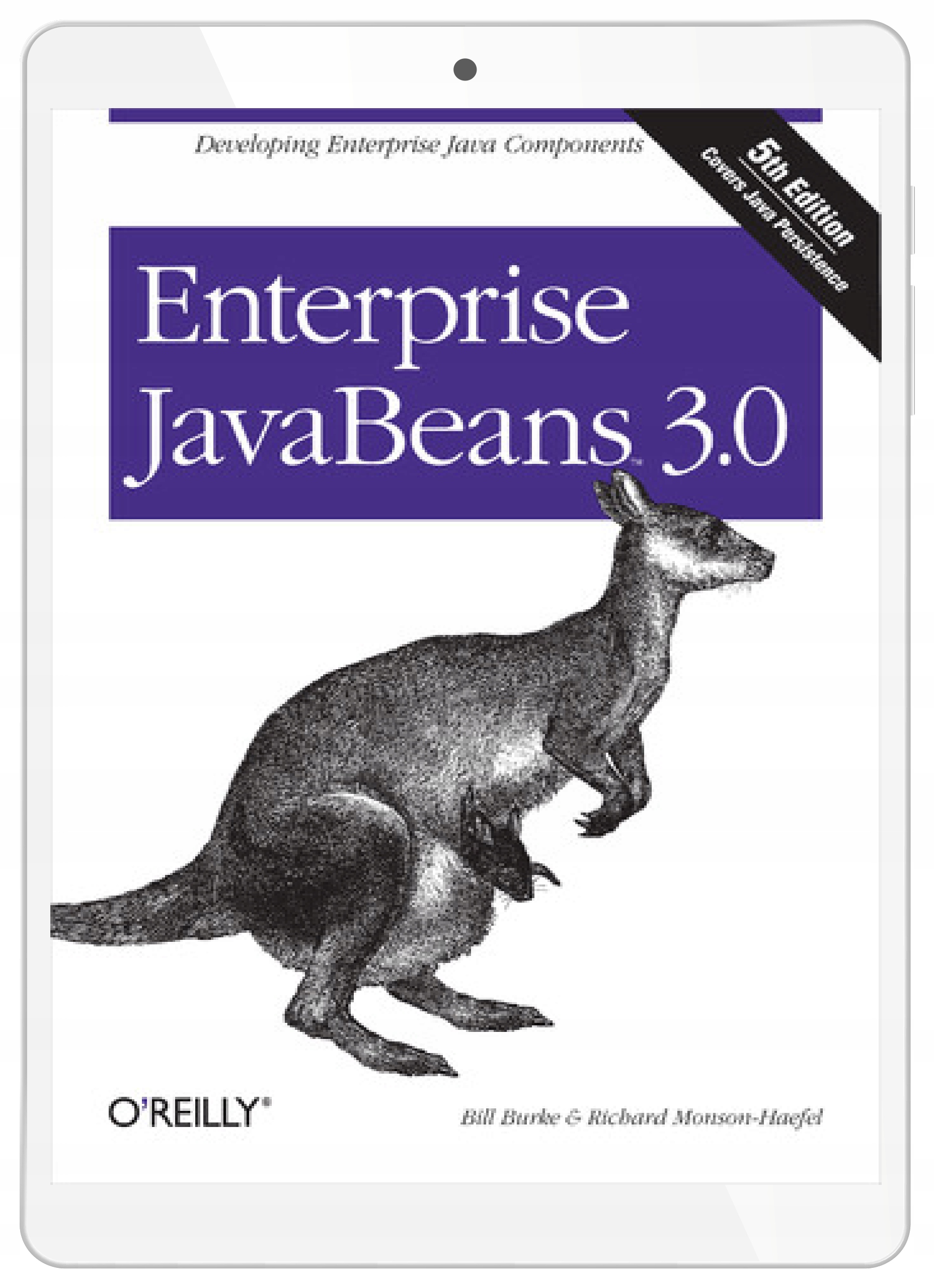 Enterprise JavaBeans 3.0. 5th Edition