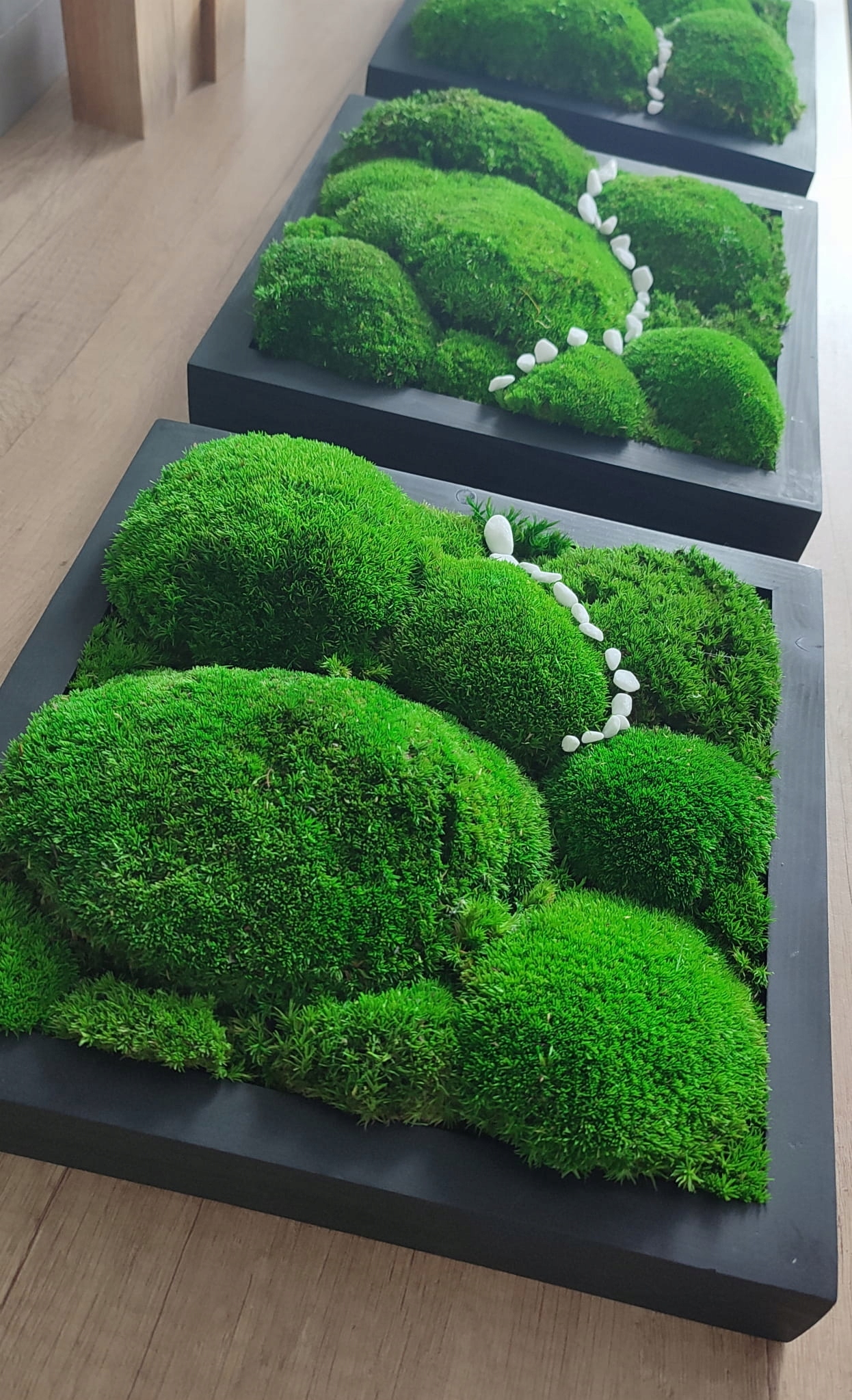 Tryptyk z mchu poduszkowego 27x27 cm Rodzaj mech chrobotek