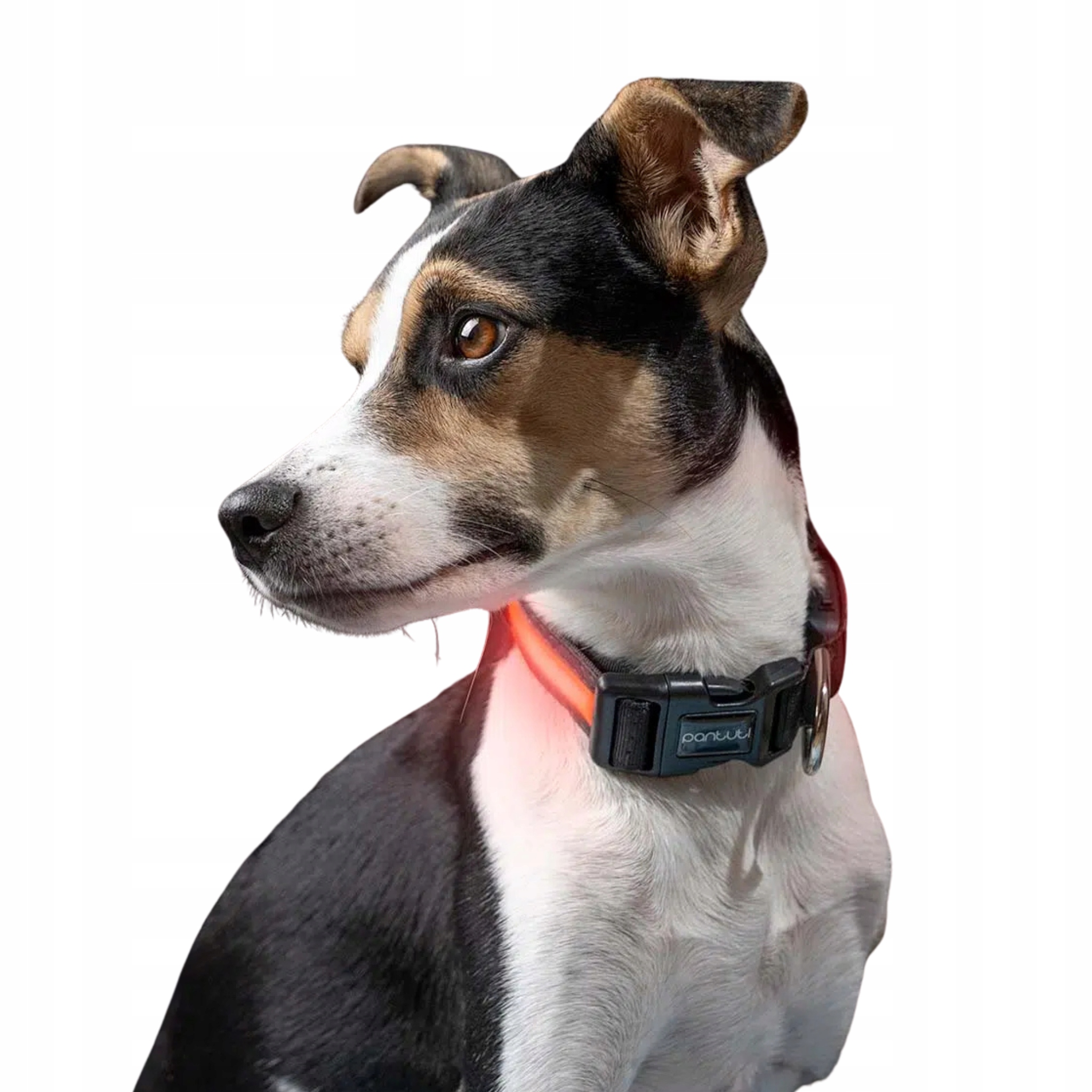 Levně Svítící obojek pro psa Usb Led Superlux L Červený