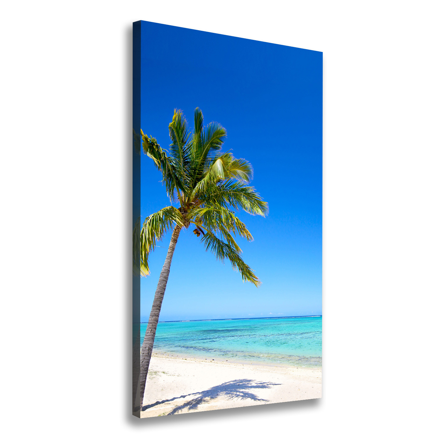 

Foto obraz na płótnie Tropikalna plaża 50x100 cm