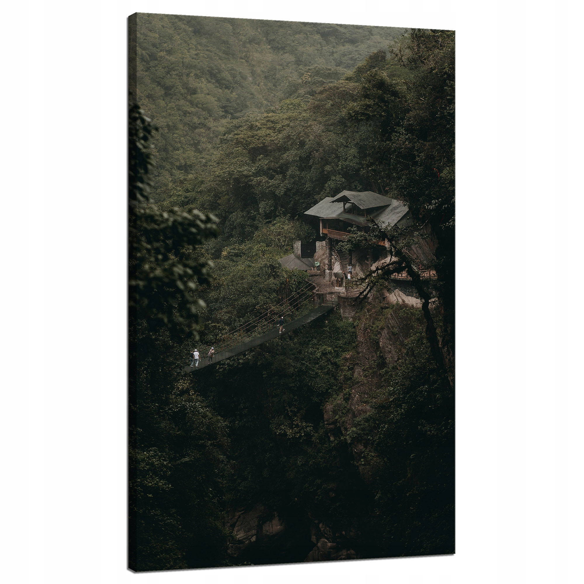 Obraz Canvas Příroda Dům v horách Chata 70x120 cm