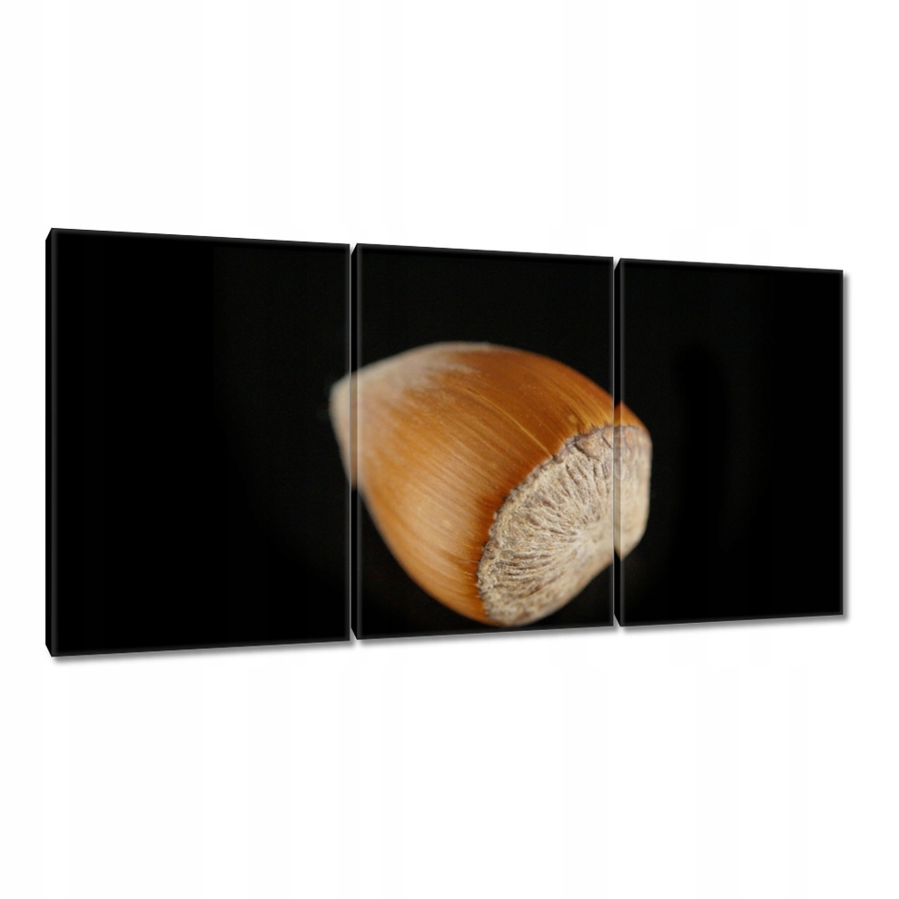 

Obrazy 120x60 Orzech laskowy