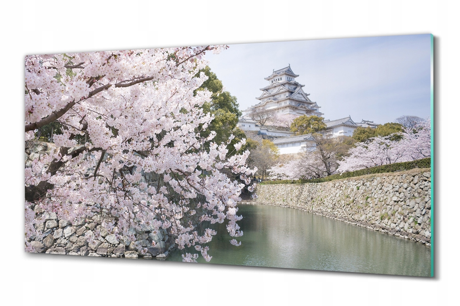 Sklenené nástenné foto Jar Japonsko kvet 100x50