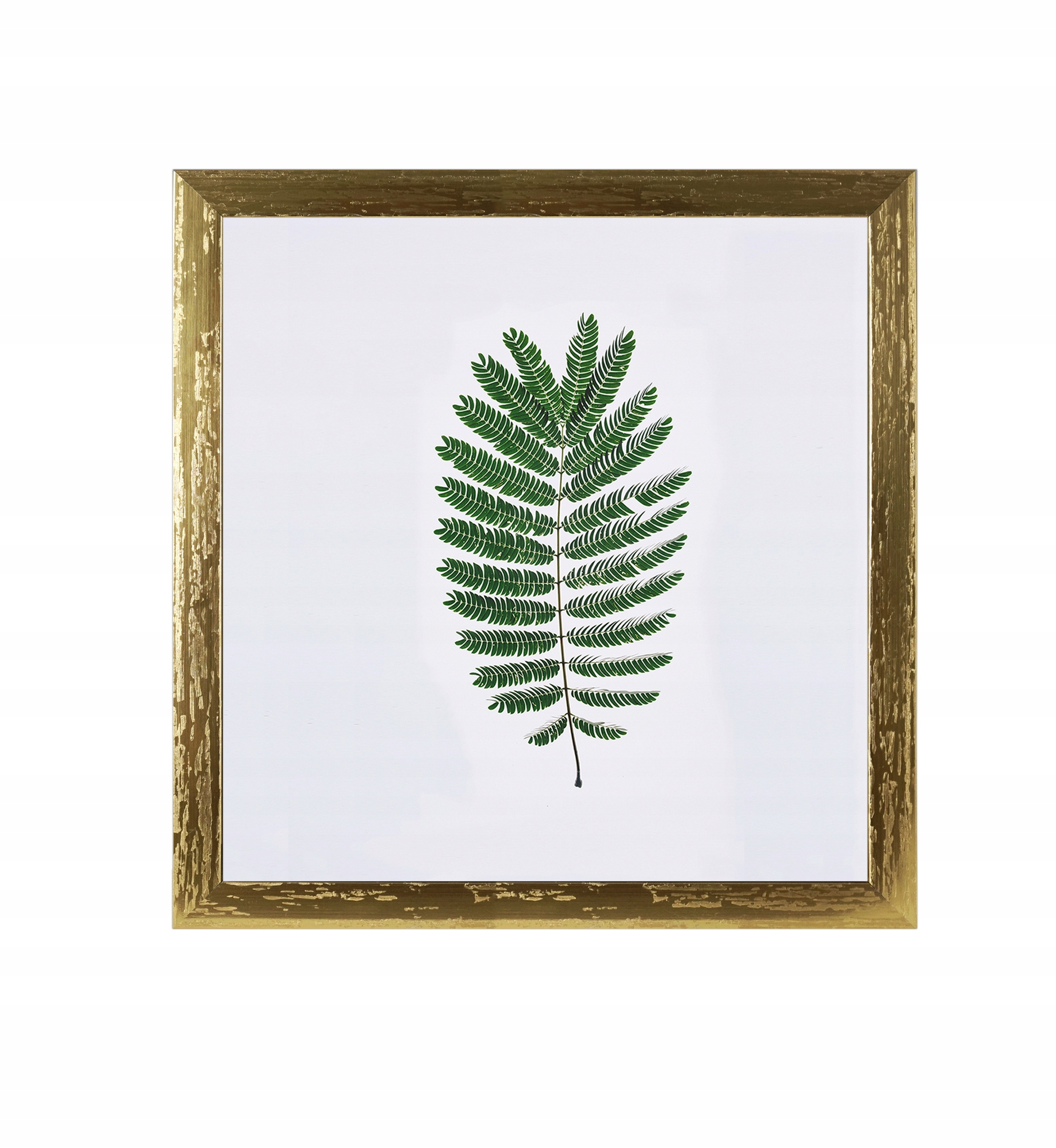 

Ramka Na Zdjęcia 40x40 Passe-partout Ramki Złota