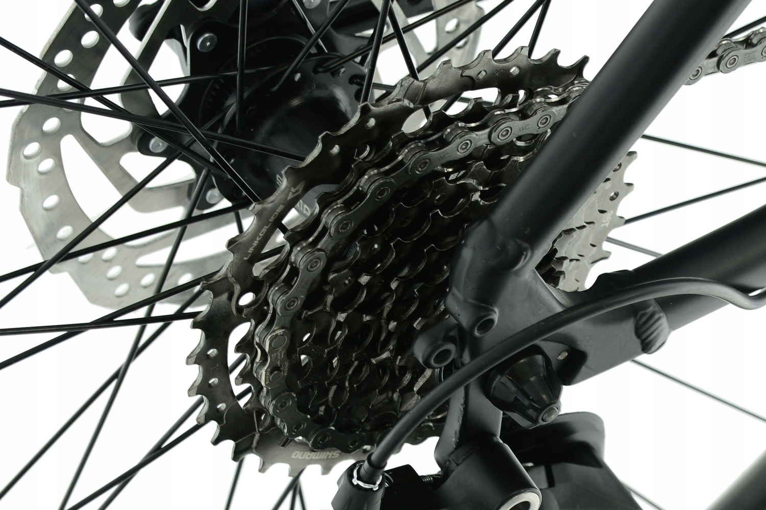 Rower MTB Kands 29 Comp-er Cues r21