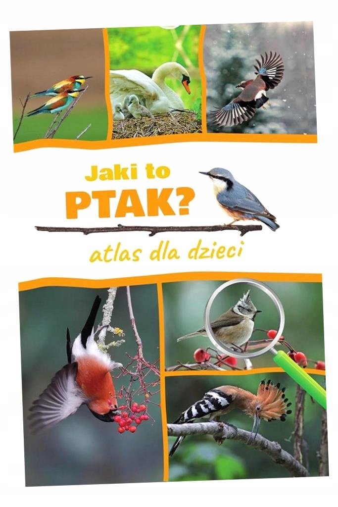JAKI TO PTAK? ATLAS DLA DZIECI DOMINIK MARCHOWSKI