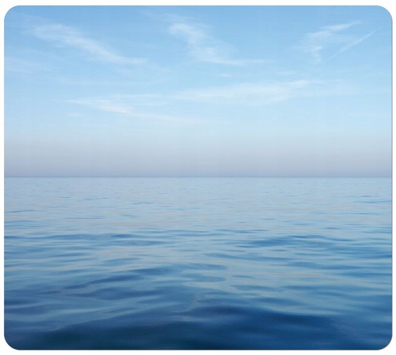 Ekologiczna Podkładka Pod Mysz Ocean Fellowes