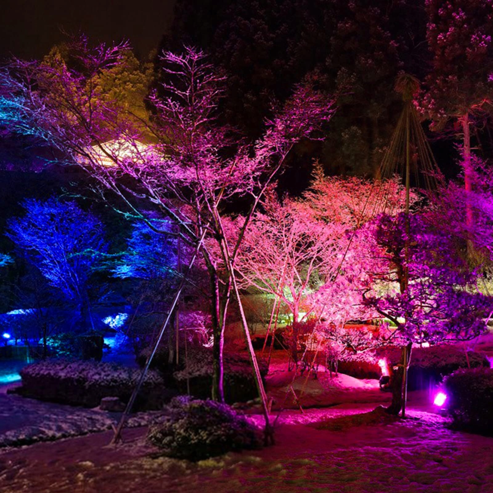 RGB LED Reflektor Zewnętrzny 80W Bluetooth APP Sterowanie IP66 Wodoodporny — miniatura 6