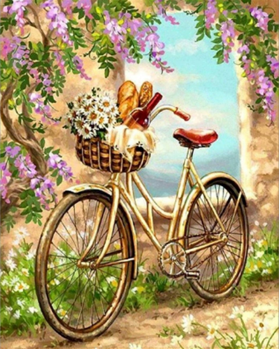 Diamantová Výšivka Diamond Painting Mozaika Selské kolo 45x55 cm K