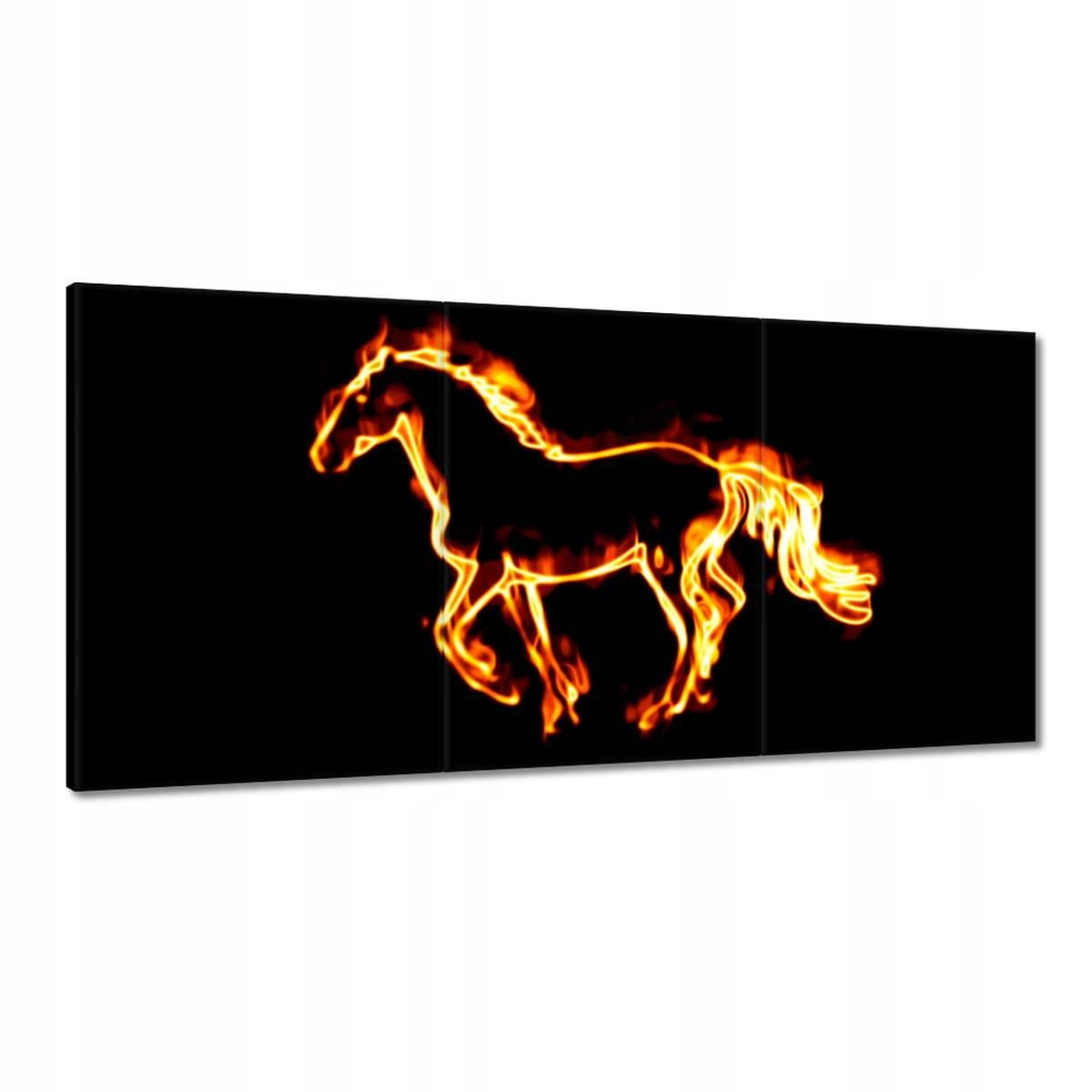 Obrazy 180x90 Ohnivý rumak