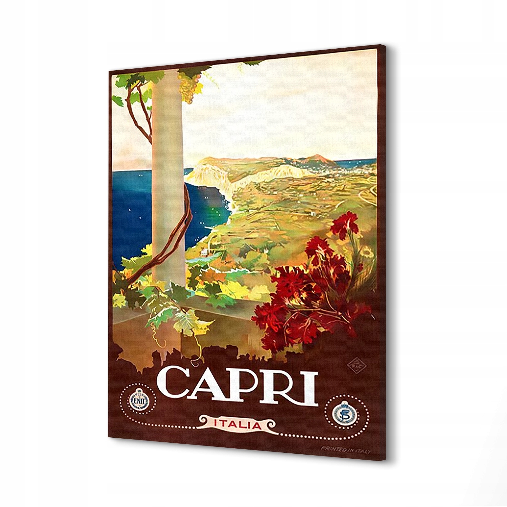 Obraz canvas 60x80 Capri vegetace Itálie cestování