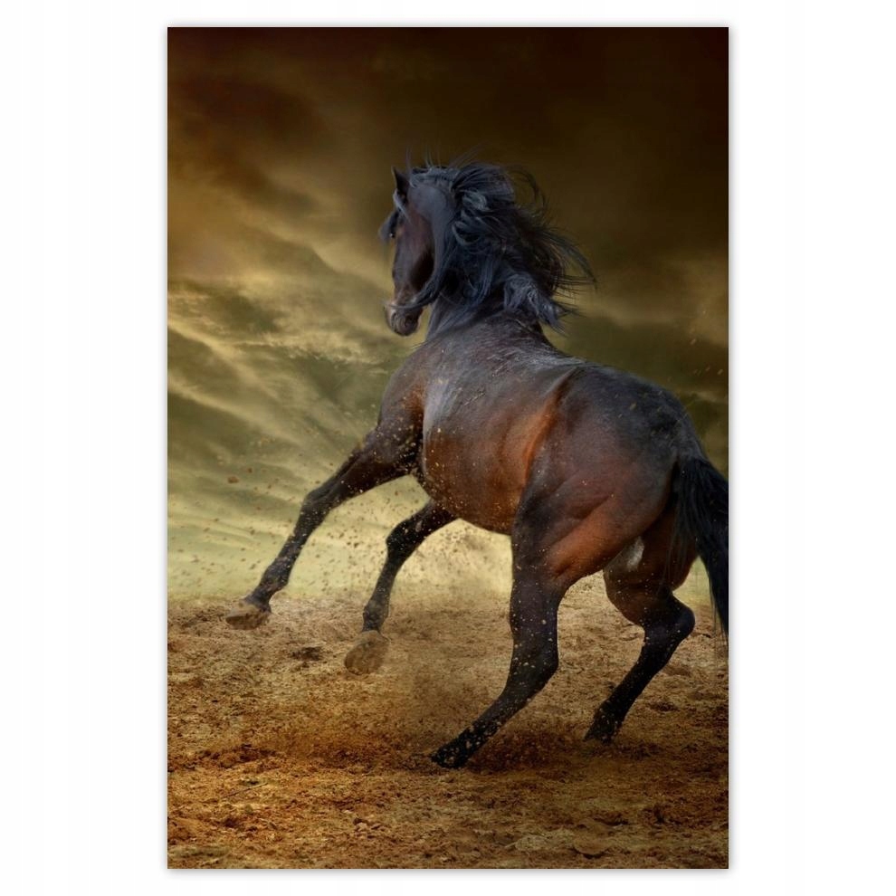 

Plakat samoprzylepny 40x60 Koń