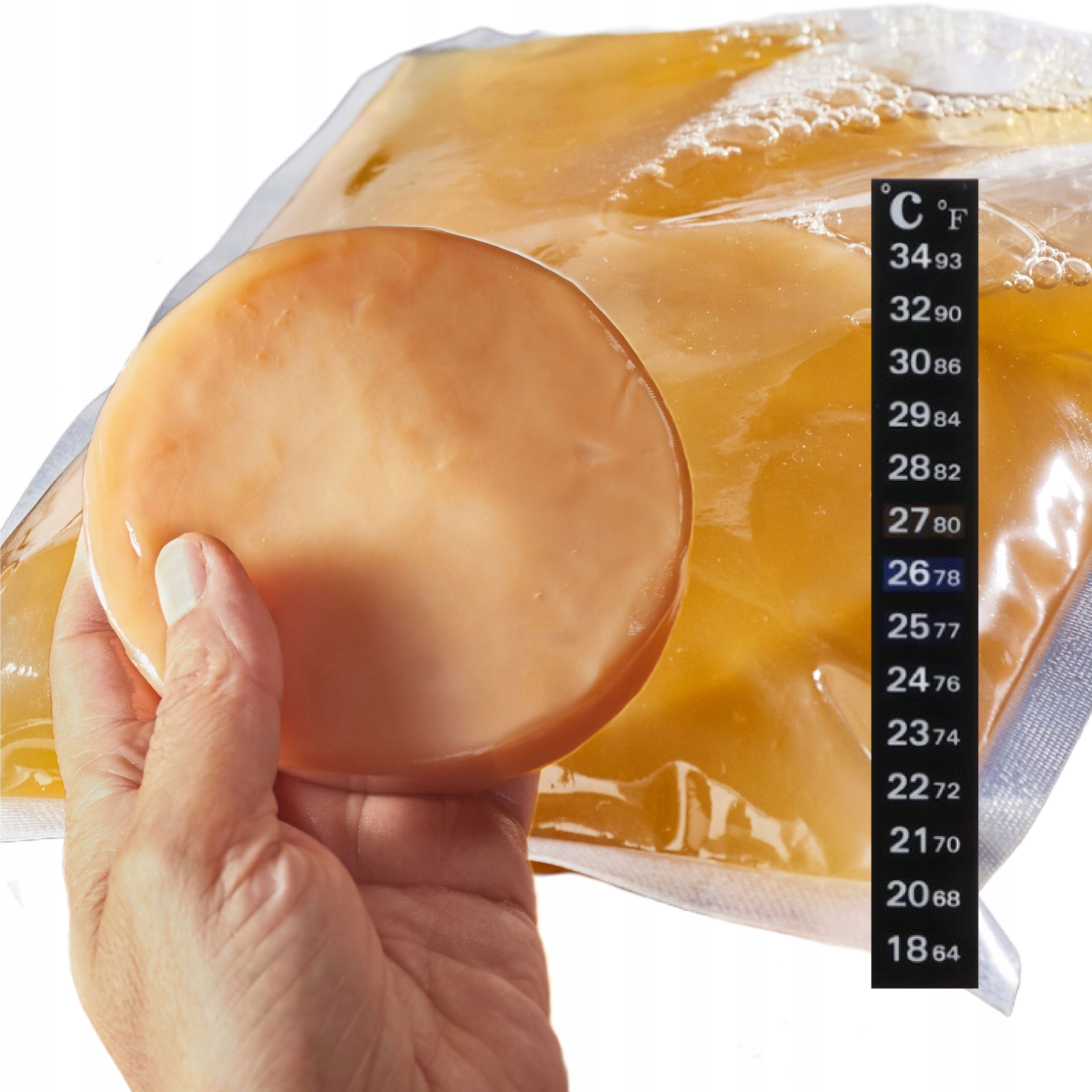 GRZYB HERBACIANY KOMBUCHA SCOBY STARTER NA 2 LITRY + TERMOMETR + GRATISY