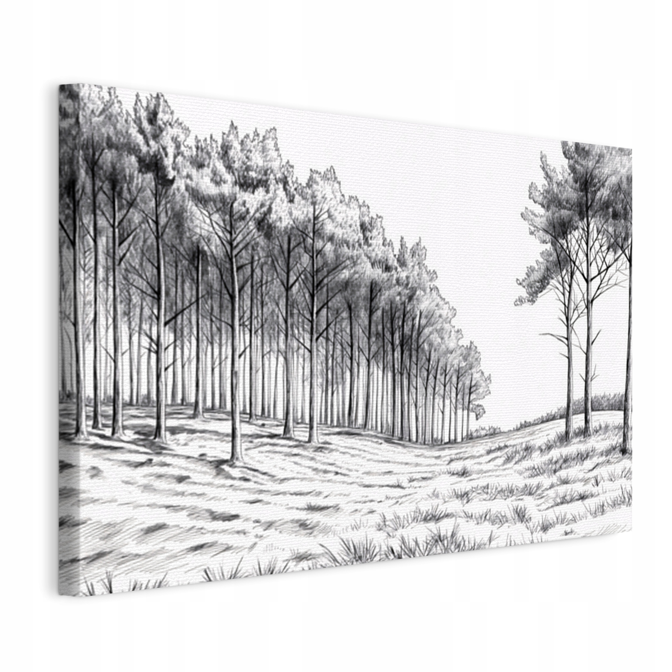 Obraz na plátně Borovice Skica Černobílá Do Obývacího pokoje Ložnice 75x50