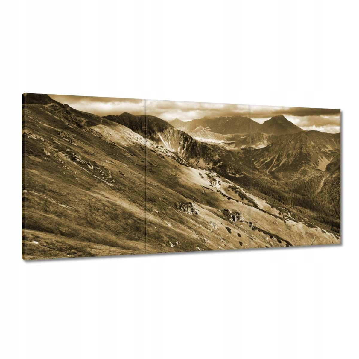 Obrazy 180x90 Tatry Poľské hory Pohľad