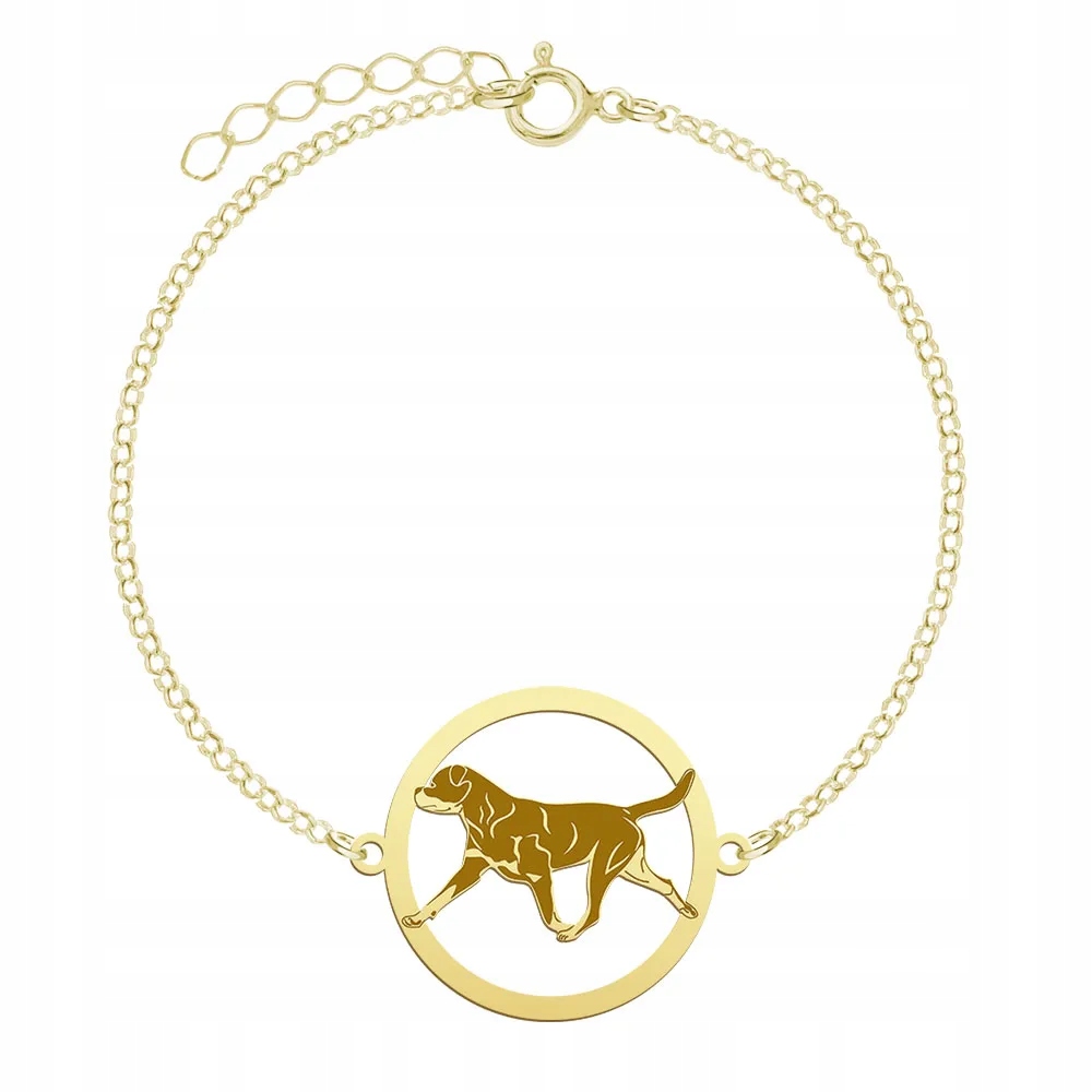 Zlatý náramek z Rottweileru 925 Šperky Dárek Žena Gravírování Bonus