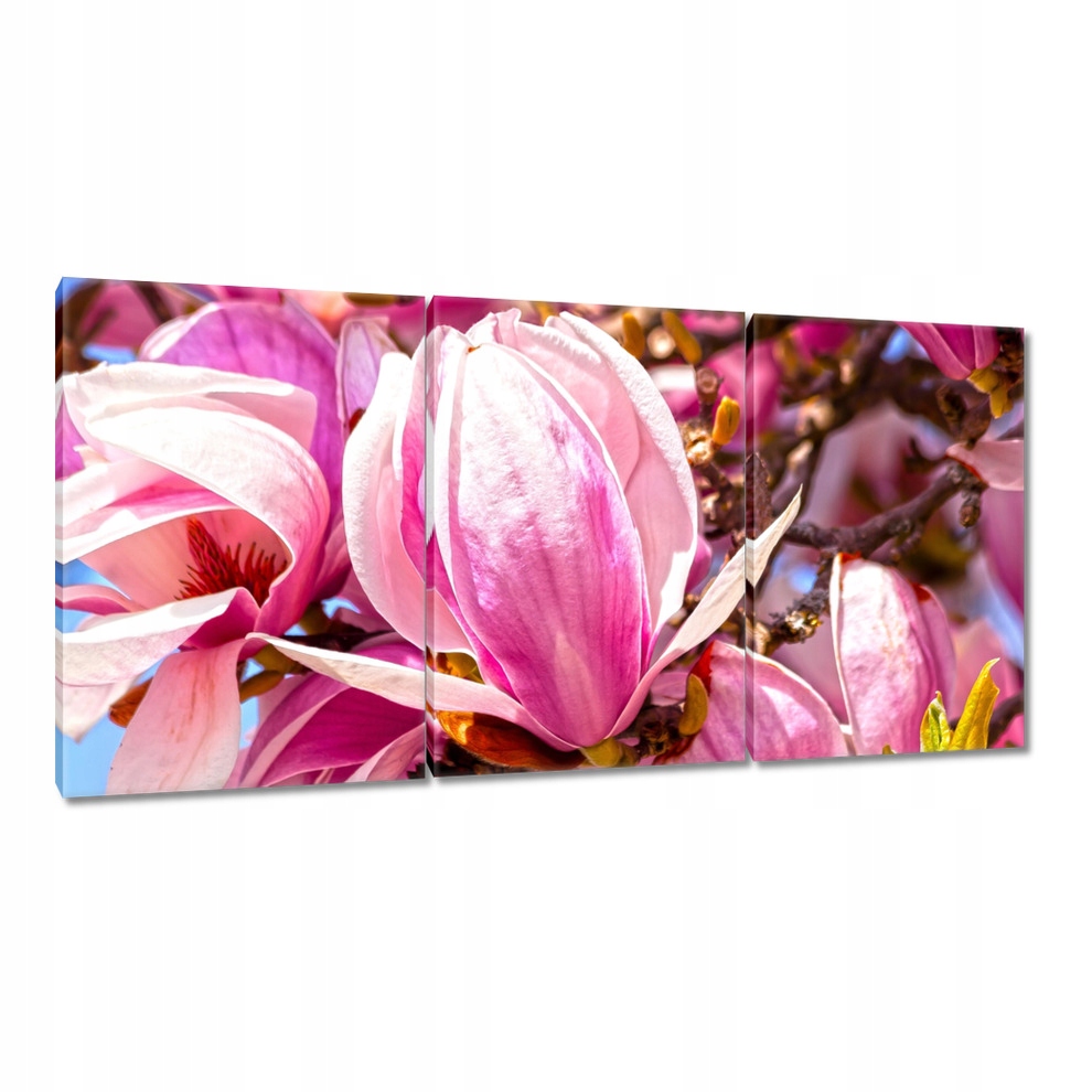 

Obrazy 120x60 Kwiatki Kwiaty Kwiatuszki