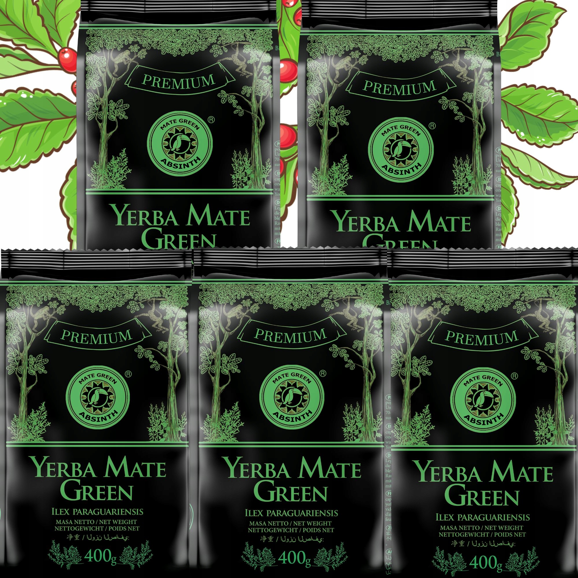 Yerba Mate Green silně povzbuzuje Absinth 5 kusů 2 kg