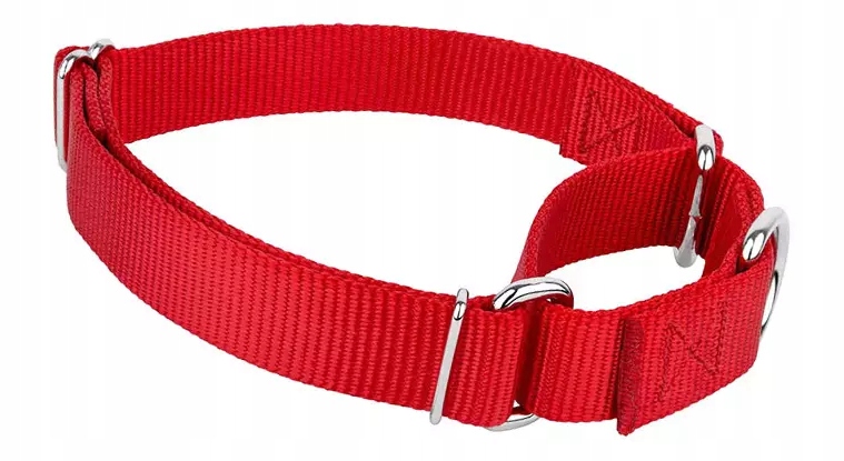 

Obroża półzaciskowa Martingale S czerwony regulowa