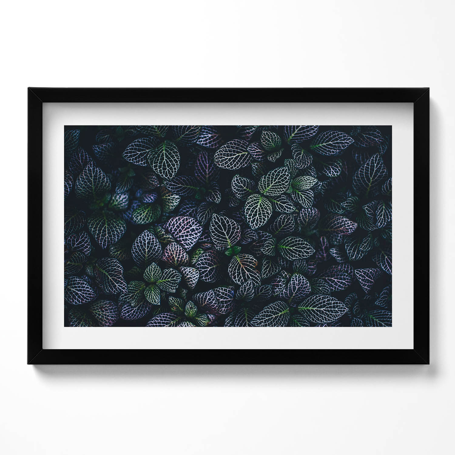 Dekorativní obraz v rámu na zeď do obývacího pokoje Tmavé divoké listy 60x40 cm