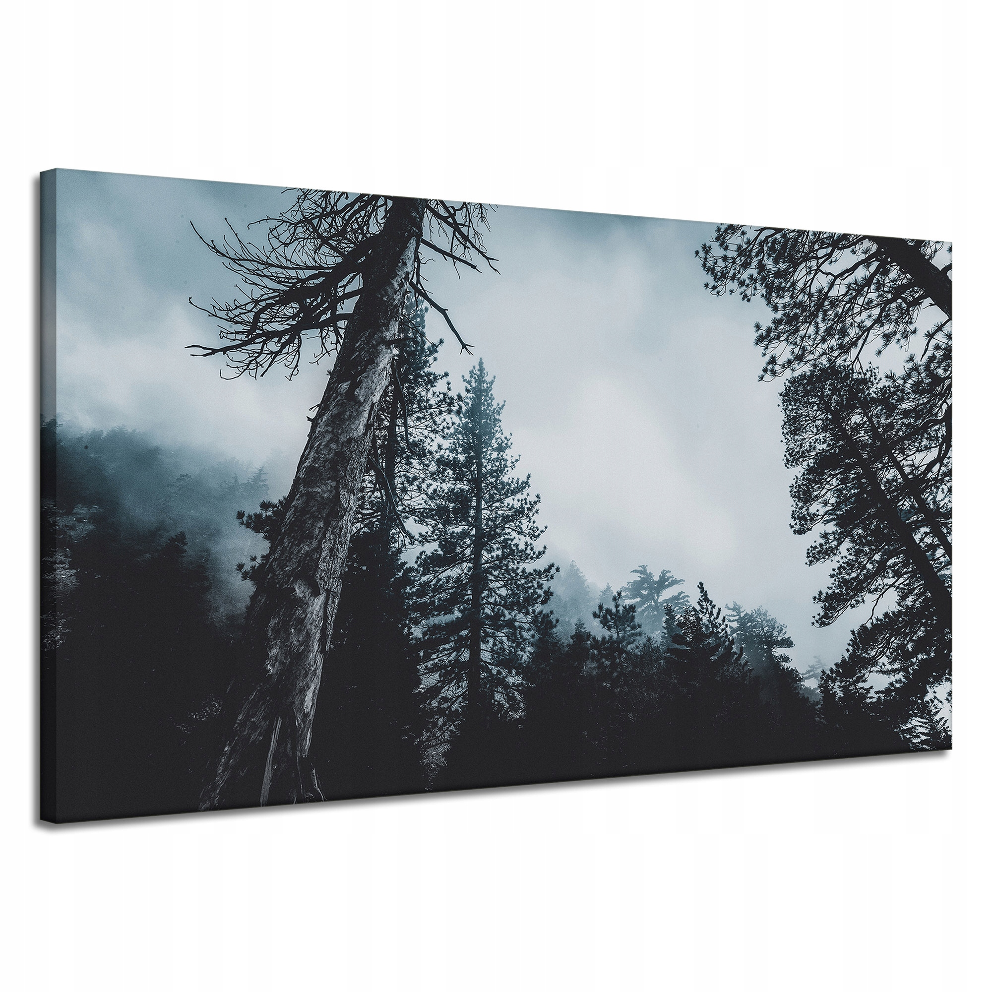 Obraz Canvas Příroda Koruny stromů Mlha 120x70 cm