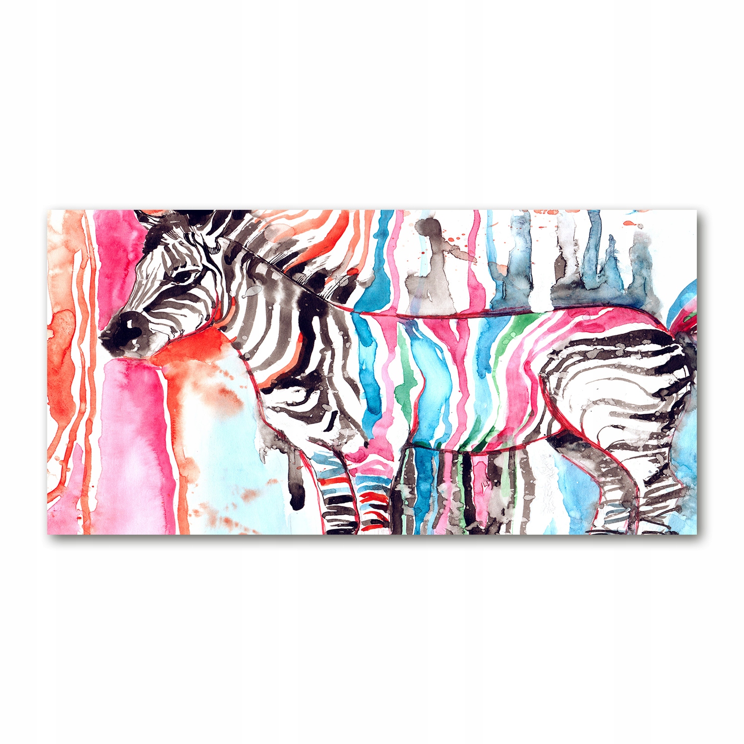 

Foto obraz akryl zdjęcie Kolorowa zebra 120X60 cm