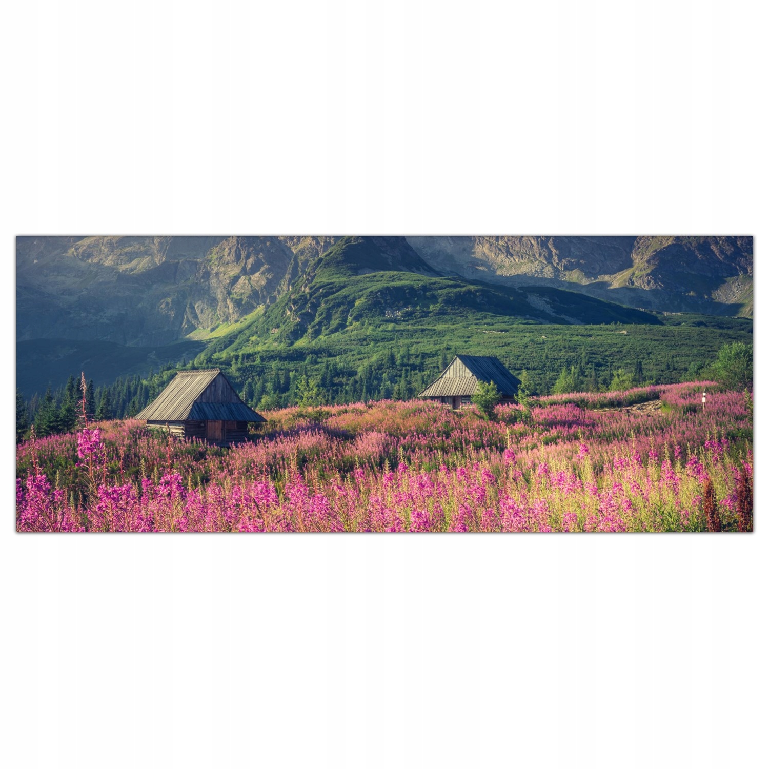 

Obraz Szklany Foto-obraz Kwiaty Góry Natura 125x50