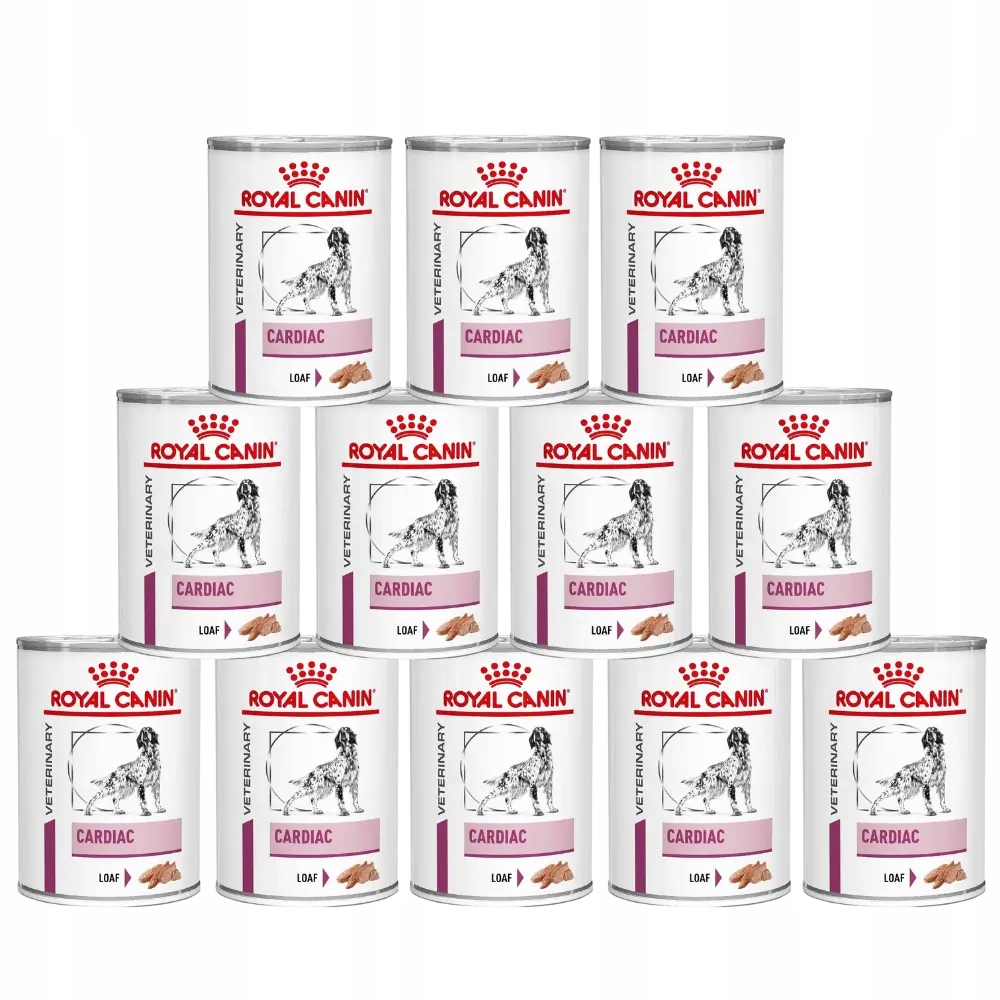 Najlepsze karmy dla psów z chorobami serca (Cardiac)