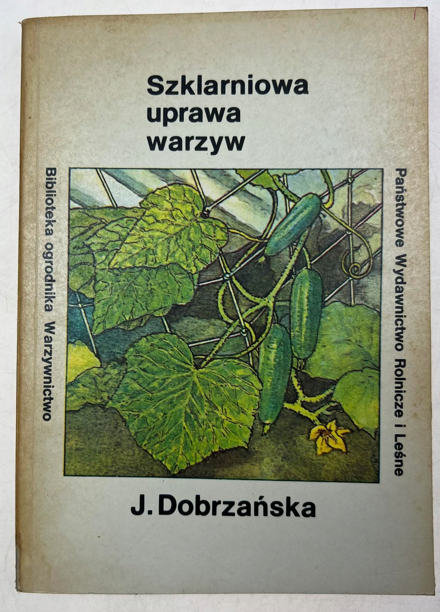 Szklarniowa uprawa warzyw Józefa Dobrzańska