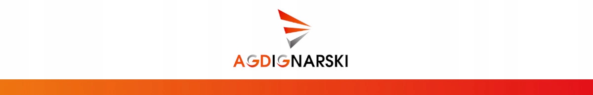 DUŻY SAMOLOT ZE STYROPIANU LED SZYBOWIEC 36CM Skala nie dotyczy