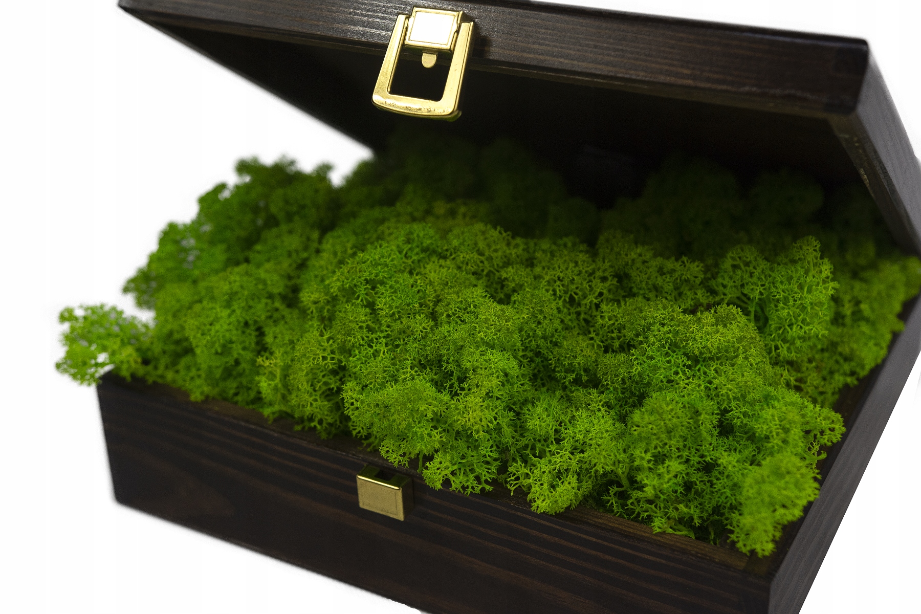 Mech CHROBOTEK Reniferowy Karton 500gr Zielony Rodzaj mech chrobotek