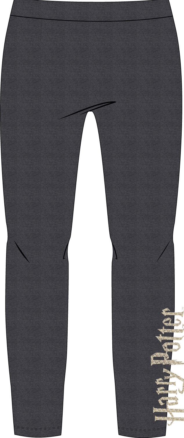 

getry legginsy Harry Potter brokatowy napis 128