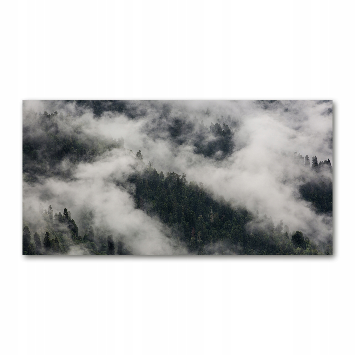 

Foto-obraz akryl Mgła nad lasem zdjęcie 140x70 cm