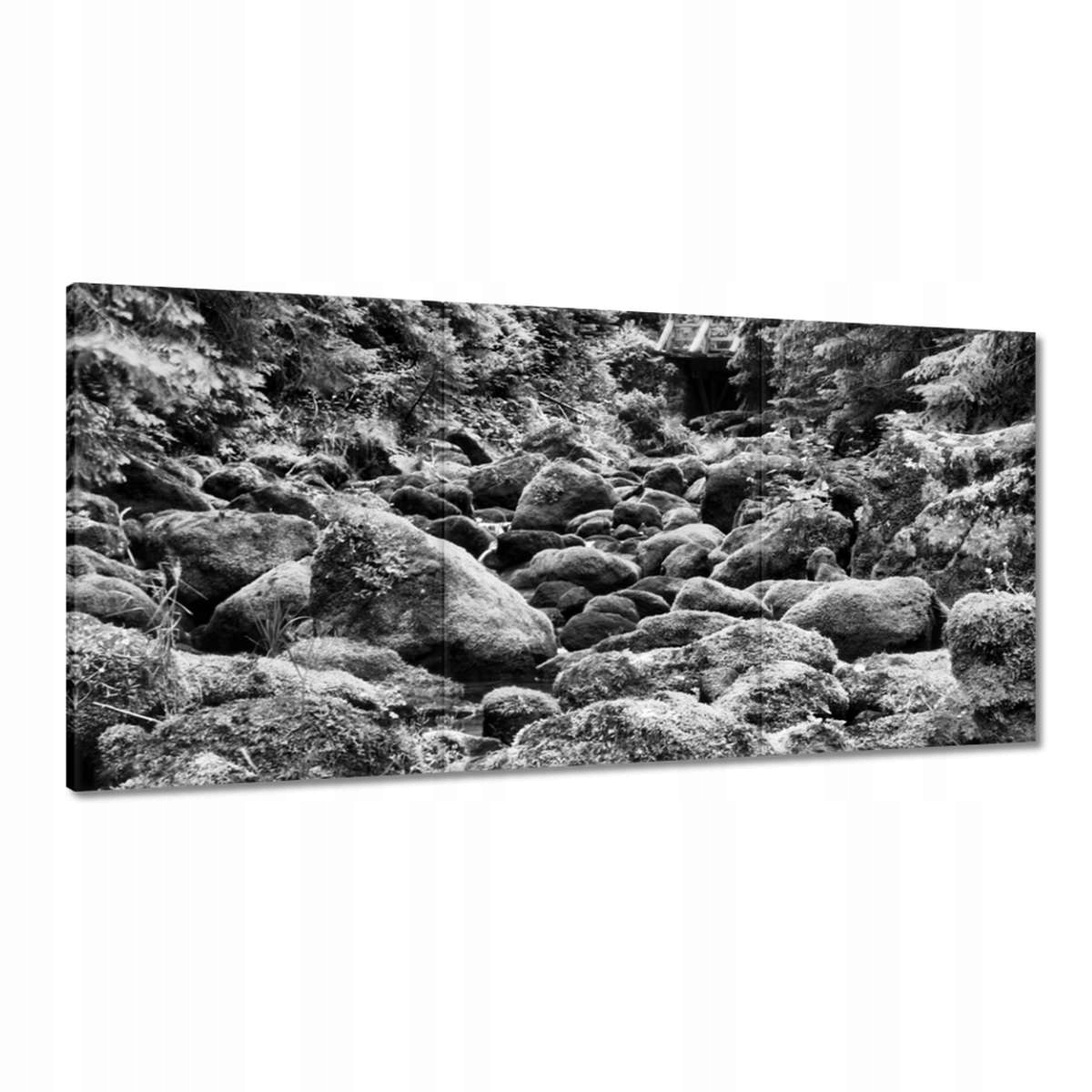 Obrazy 180x90 Tatry Poľské hory Pohľad